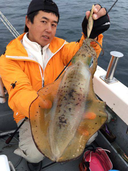 エヌスタイル 釣果