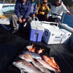 渡船屋たにぐち 釣果