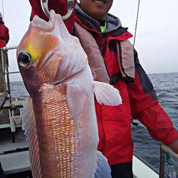 光生丸 釣果