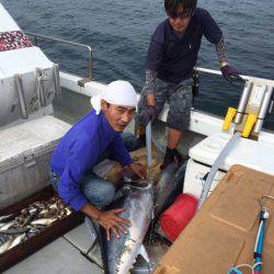 釣鯛洋 釣果