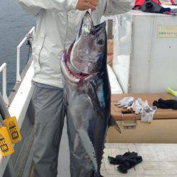 釣鯛洋 釣果