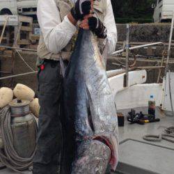 釣鯛洋 釣果