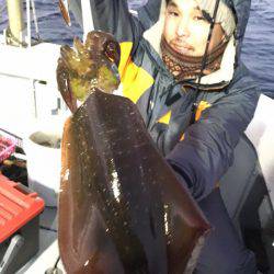 エヌスタイル 釣果