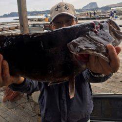 釣り堀水宝 釣果