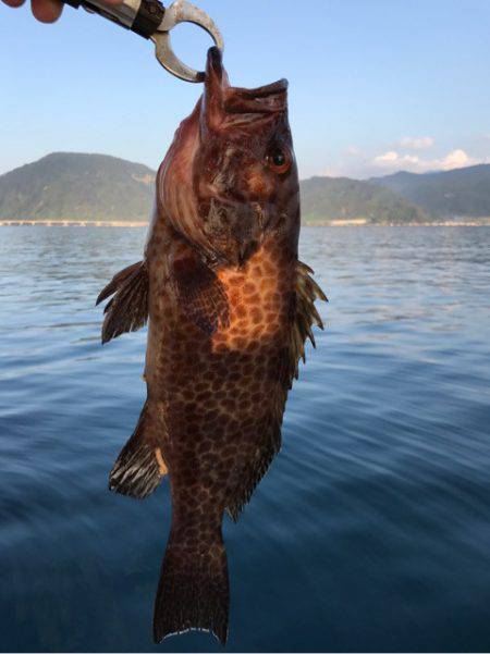 龍神丸（鹿児島） 釣果