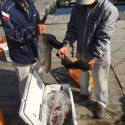 釣り堀水宝 釣果