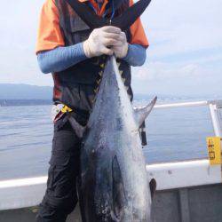 釣鯛洋 釣果