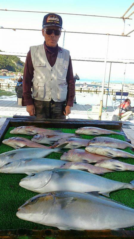 海の釣堀 海恵 釣果