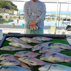 海の釣堀 海恵 釣果