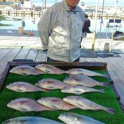 海の釣堀 海恵 釣果