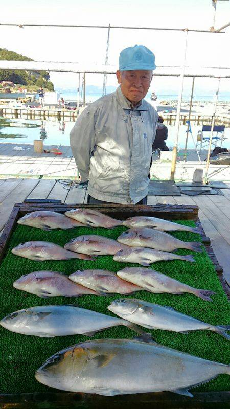 海の釣堀 海恵 釣果