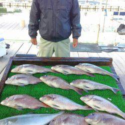 海の釣堀 海恵 釣果