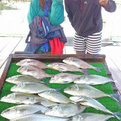 海の釣堀 海恵 釣果