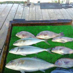 海の釣堀 海恵 釣果