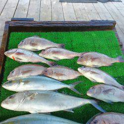 海の釣堀 海恵 釣果