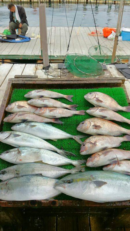 海の釣堀 海恵 釣果