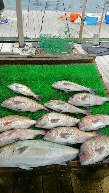 海の釣堀 海恵 釣果