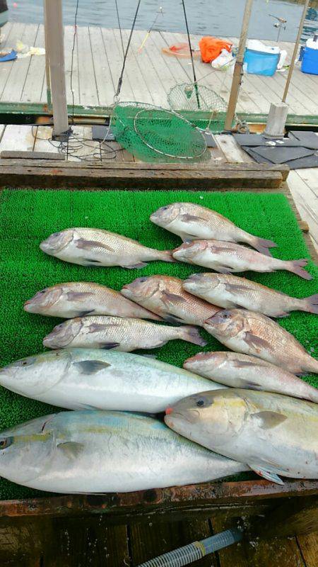 海の釣堀 海恵 釣果