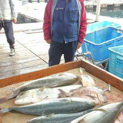 海の釣堀 海恵 釣果