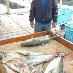 海の釣堀 海恵 釣果