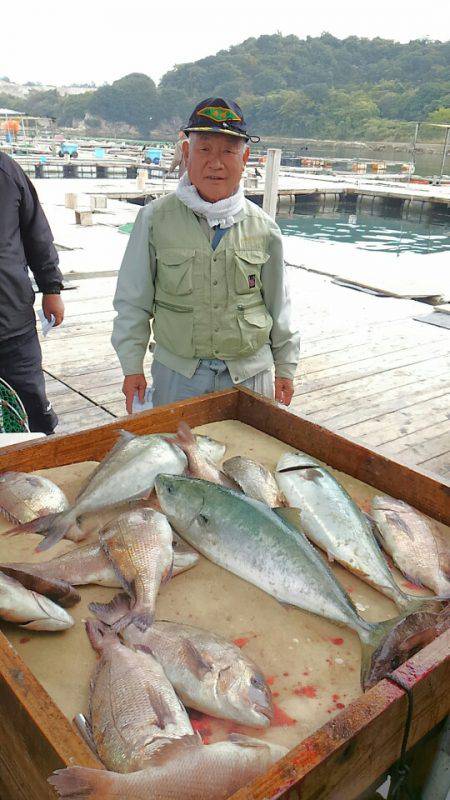 海の釣堀 海恵 釣果