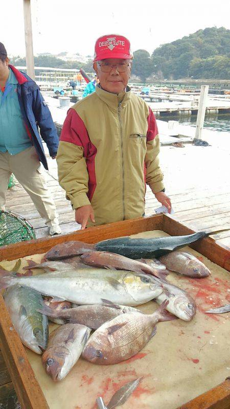 海の釣堀 海恵 釣果