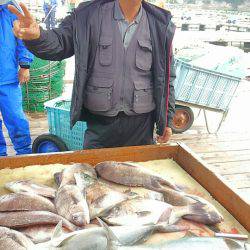 海の釣堀 海恵 釣果