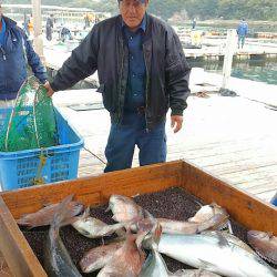 海の釣堀 海恵 釣果