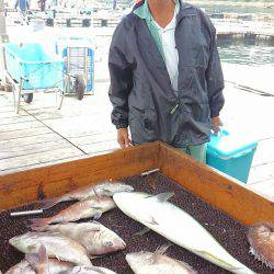 海の釣堀 海恵 釣果