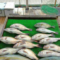 海の釣堀 海恵 釣果