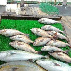 海の釣堀 海恵 釣果