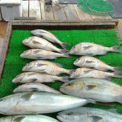 海の釣堀 海恵 釣果