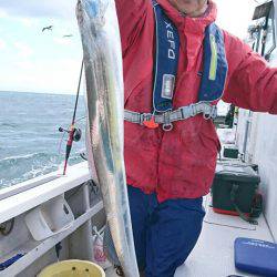 釣人家 釣果