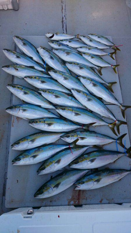 釣人家 釣果