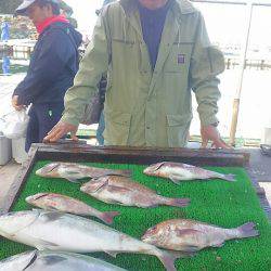 海の釣堀 海恵 釣果