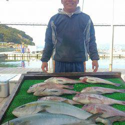 海の釣堀 海恵 釣果