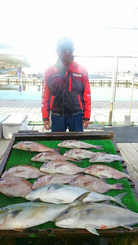 海の釣堀 海恵 釣果