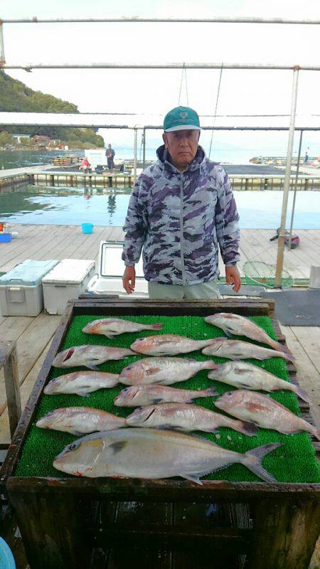 海の釣堀 海恵 釣果