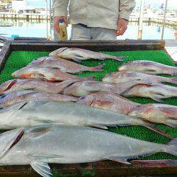 海の釣堀 海恵 釣果