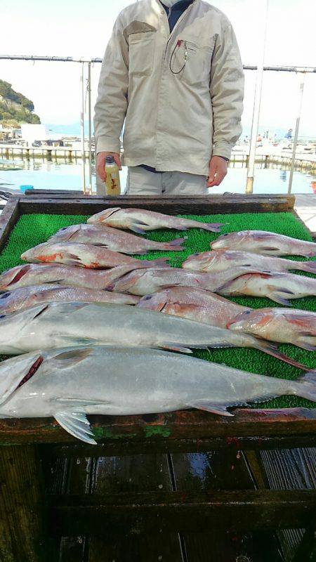 海の釣堀 海恵 釣果