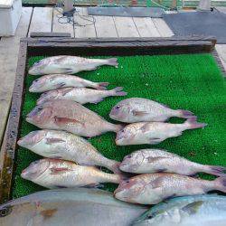 海の釣堀 海恵 釣果