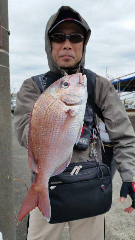 富士丸 釣果