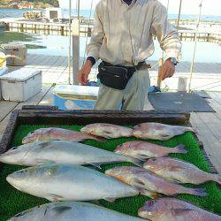 海の釣堀 海恵 釣果