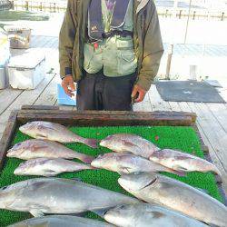 海の釣堀 海恵 釣果