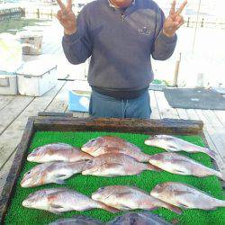 海の釣堀 海恵 釣果