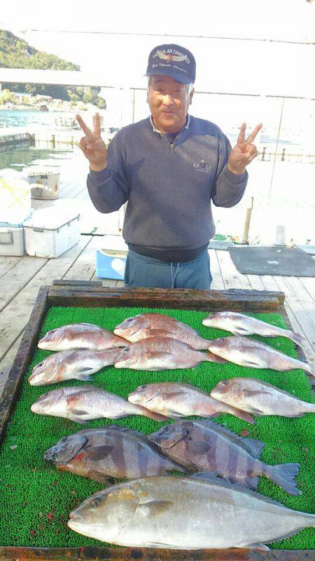 海の釣堀 海恵 釣果