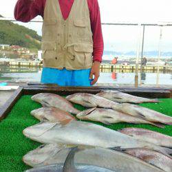 海の釣堀 海恵 釣果