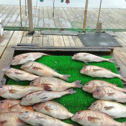 海の釣堀 海恵 釣果