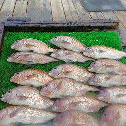 海の釣堀 海恵 釣果