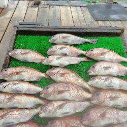 海の釣堀 海恵 釣果